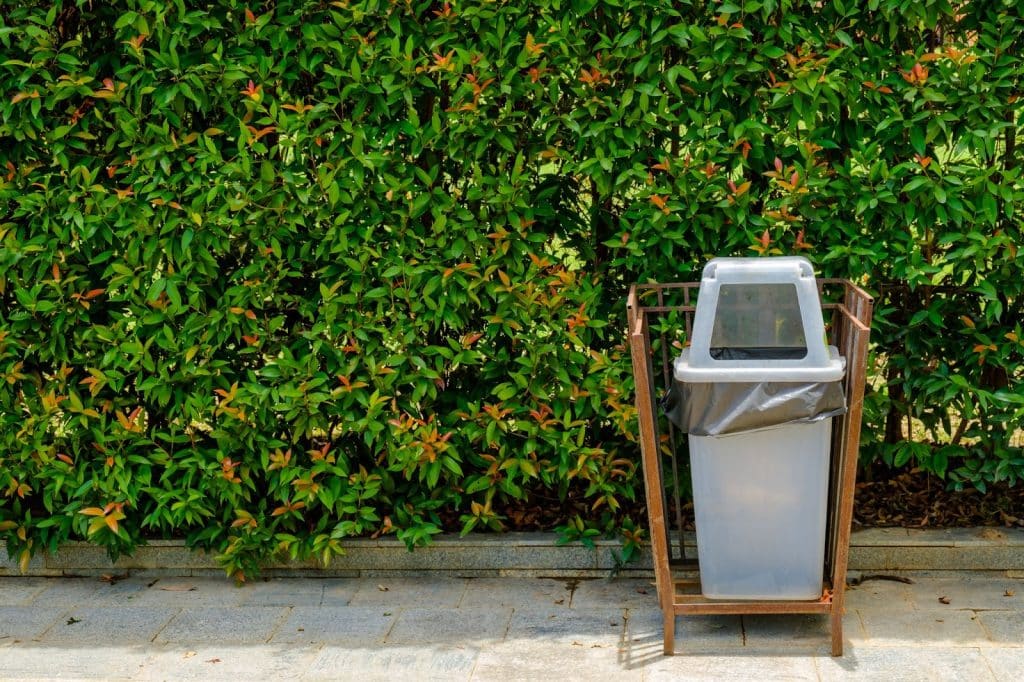 O ChatGPT disse:
Cesto de lixo de plástico com saco preto, localizado em frente a uma densa vegetação verde, em ambiente ao ar livre, sobre um caminho de pedras.